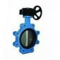 Dúctil Rion Body / Ss Disc Lug Butterfly Valve